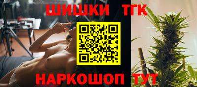 индика Моздок