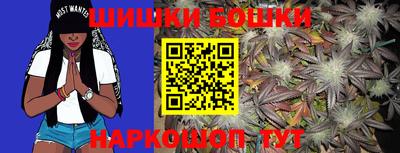 индика Моздок