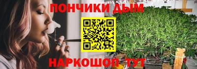 индика Моздок