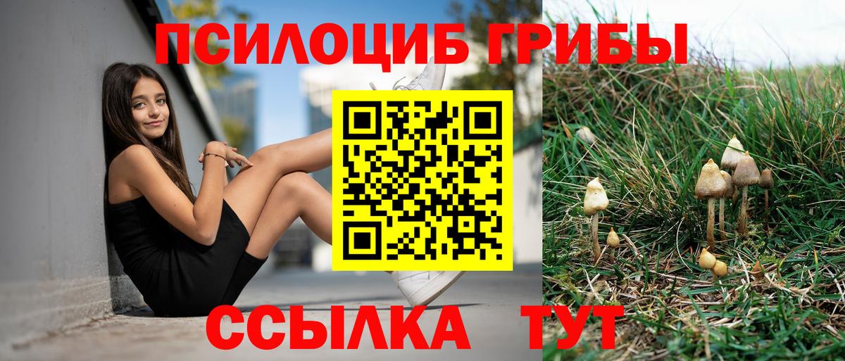 Галлюциногенные грибы мицелий Чайковский