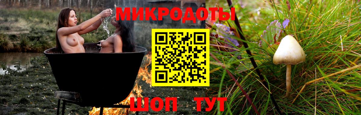 Чайковский  Галлюциногенные грибы прущие грибы  Вход с VPN 